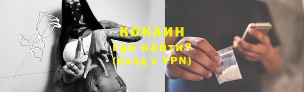 apvp Армянск