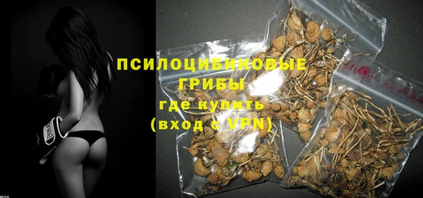 apvp Армянск