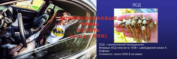 соль ск Арсеньев